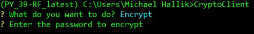 Enter test data to encrypt.